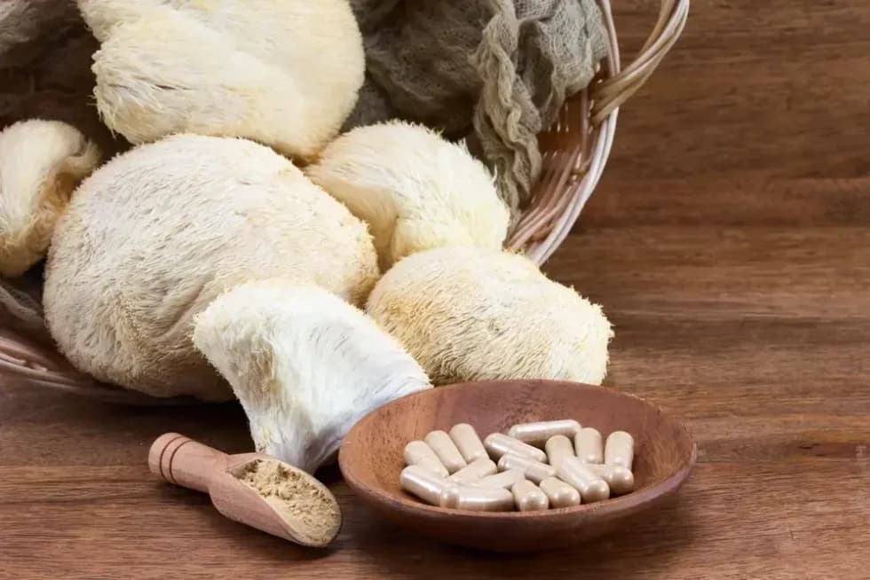 Lion's Mane: The Rising Star of Natural Supplements